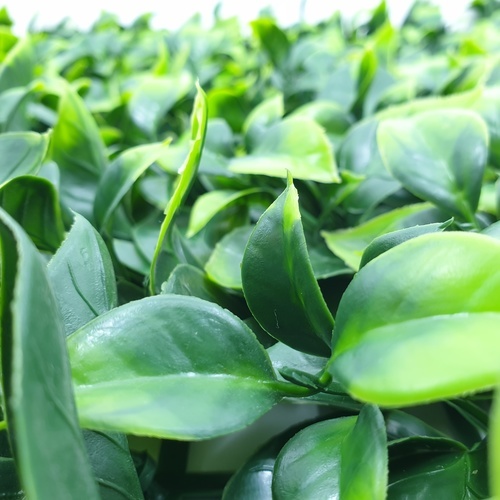 ต้นไม้เทียมติดผนัง รุ่น MZ188024C ขนาด 50×50×3 ซม.  สีเขียว Tree‘O