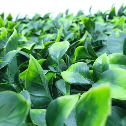 ต้นไม้เทียมติดผนัง รุ่น MZ188024C ขนาด 50×50×3 ซม.  สีเขียว Tree‘O