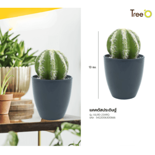 แคคตัสประดิษฐ์  XJLRD-23XRQ สูง 13CM