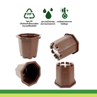 GREENHOUSE กระถาง แคคตัส 3 นิ้ว สีน้ำตาล