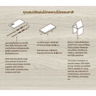 VANACHAI OSB บอร์ด สำหรับใช้งานภายนอก#9 120x240ซม.