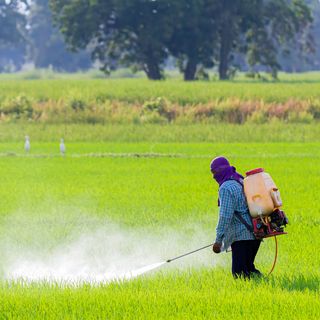 TUF เครื่องพ่นยาหม้อลมคู่ เครื่องยนต์ 2 จังหวะ 1.4 แรงม้า รุ่นQL-767AP2 25 ลิตร สีแดงขาว