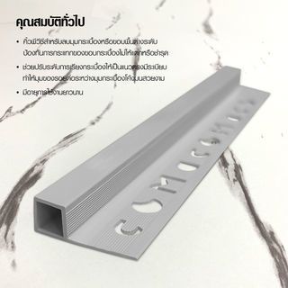 MAC คิ้วกระเบื้องPVC แบบเหลี่ยม ขนาด 10 มม. ยาว 2 เมตร รุ่นRZJ-DHL-10-G สีเทาเคลือบเงา