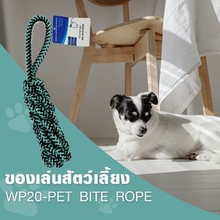 DUDUPETS ของเล่นสัตว์เลี้ยง รุ่นWP21 ขนาด 7X7X34ซม.สีฟ้า