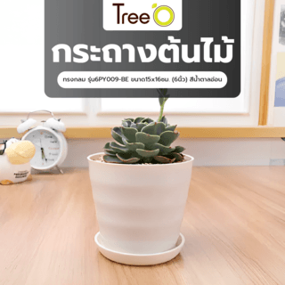 Tree‘O กระถางต้นไม้ทรงกลม  รุ่น6PY009-BE ขนาด15x16ซม. (6นิ้ว) สีน้ำตาลอ่อน