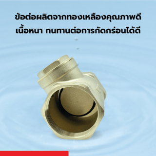 VAVO เช็ควาล์วสวิงทองเหลือง 2