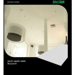 เฌอร่า บอร์ด โปร 0.4x120x240ซม. สีธรรมชาติ