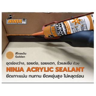 BESBOND นินจาแด๊ป อะคริลิค ซีลแลนท์ 450 กรัม สีไม้สักทอง