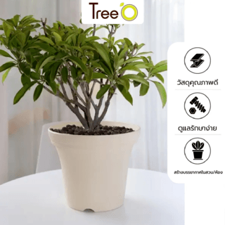Tree’ O กระถางต้นไม้ รุ่น 6PY020-BE ขนาด 30 x 30 x 24 ซม. (12นิ้ว) สีน้ำตาลอ่อน