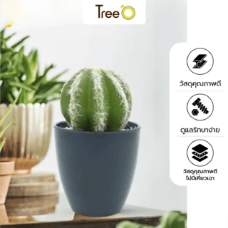แคคตัสประดิษฐ์  XJLRD-23XRQ สูง 13CM