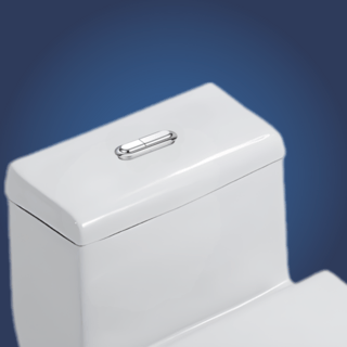 Verno ชุดปุ่มกดชำระทรงแคปซูล 2 ระบบ รุ่น PQS-C2424C  ขนาด 100x30 มม. 