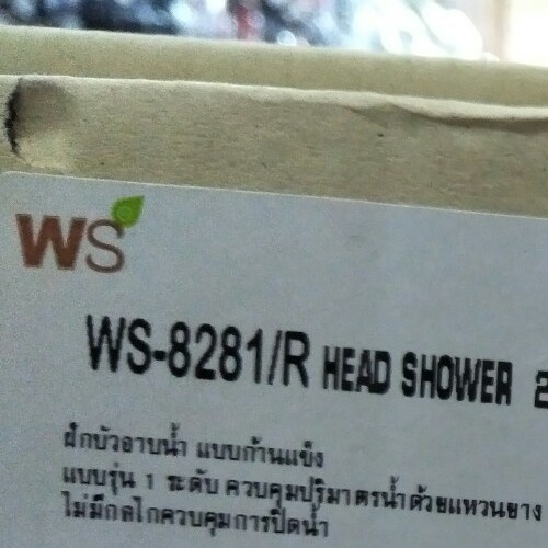 WS ชุด Rain shower สแตนเลสครบชุด รุ่น WS-8089R