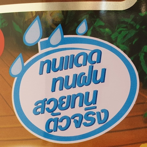 Woodtect วูดเทค เดคกิ้งสเตน WD-504 ด้าน 1กล. สีไม้วอลนัท