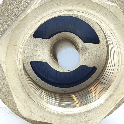 ANA เช็ควาล์วสปริงทองเหลือง 1/2