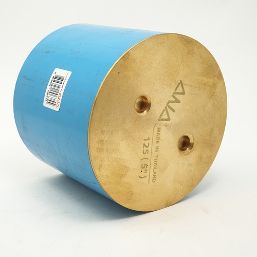 ANA ชุดฝาส้วม clean out+ท่อ PVC รุ่น 5P150-1-125-000-5-0 ขนาด 5 นิ้ว สีทอง