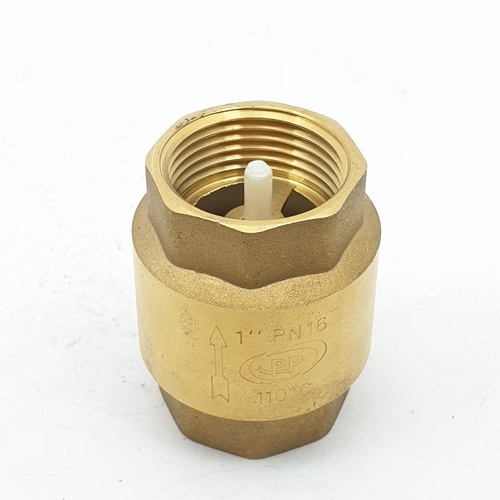 PP เช็ควาล์วสปริงทองเหลือง 1