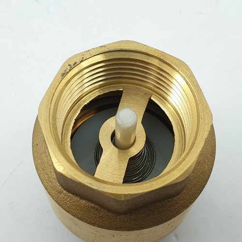 PP เช็ควาล์วสปริงทองเหลือง 1