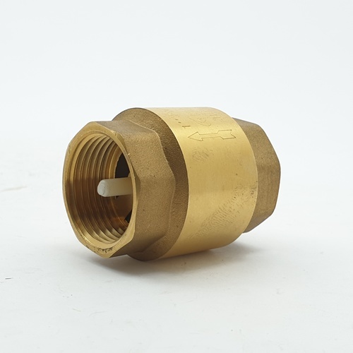 PP เช็ควาล์วสปริงทองเหลือง 1