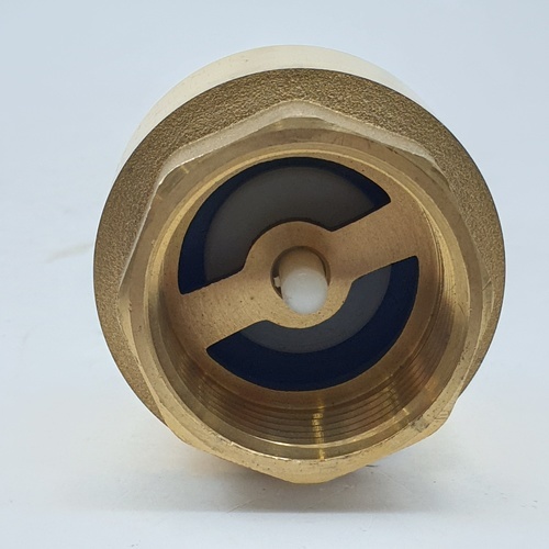 PP เช็ควาล์วสปริงทองเหลือง 1