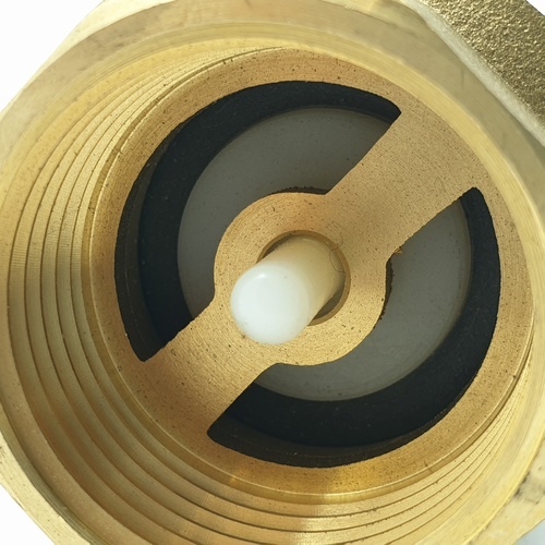 PP เช็ควาล์วสปริงทองเหลือง 1