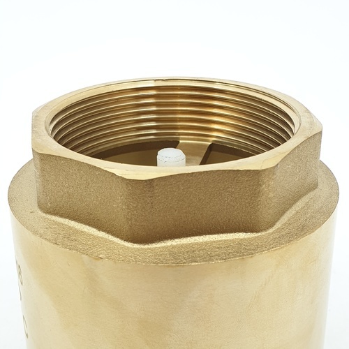 PP เช็ควาล์วสปริงทองเหลือง 2