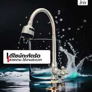 Iris ก๊อกอ่างล้างจานทองเหลือง รุ่น โมน่า VN-74003