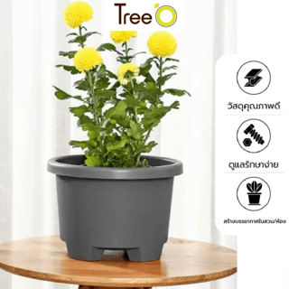 Tree  O กระถางต้นไม้ รุ่น 6PY007-GY ขนาด 27 x 27 x 18.5 ซม. (12นิ้ว) สีเทา