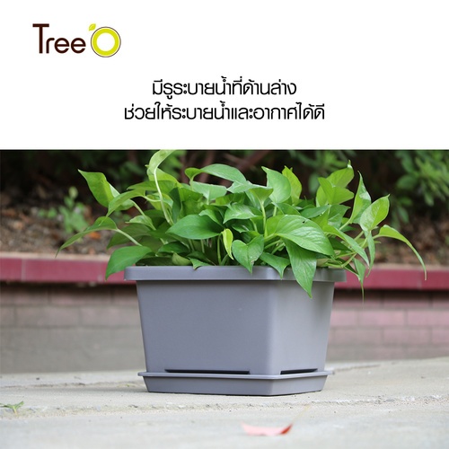 Tree’ O กระถางต้นไม้ รุ่น PY-2008GY ขนาด 27.6 x 27.6 x 19 ซม. (12นิ้ว) สีเทา