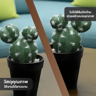 แคคตัสประดิษฐ์  XJLRD-29XRQ สูง 21CM