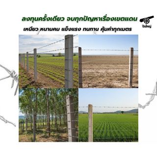 ปืนใหญ่ ลวดหนาม เบอร์ 14 ขนาด 2.0มม.ยาว 50 เมตร