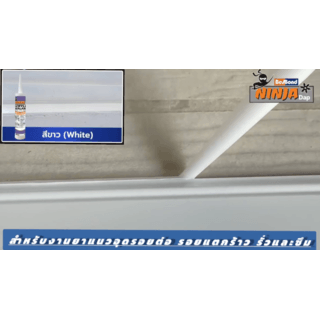 BESBOND นินจาแด๊ป อะคริลิค ซีลแลนท์ 450 กรัม สีขาว