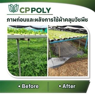 CP ผ้าพลาสติก คลุมวัชพืช 0.9x10M.