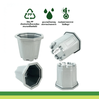 GREENHOUSE กระถาง แคคตัส 3 นิ้ว สีบรอนซ์