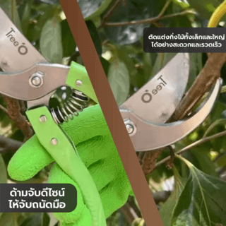 Tree’O กรรไกรตัดกิ่ง รุ่นGP2110 ขนาด8นิ้ว สีเขียว