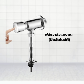 Verno ฟลัชวาล์วโถปัสสาวะแบบกด รุ่น C02 ขนาด 20x15x5 ซม. สีโครม