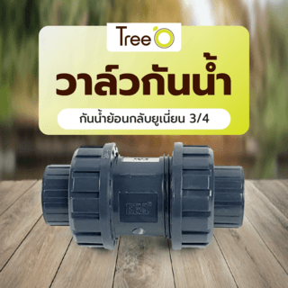 Tree’O วาล์วกันน้ำย้อนกลับยูเนี่ยน  3/4