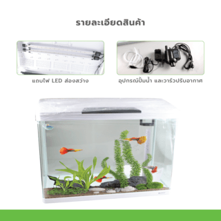 BOYU ชุดAquariumตู้ปลาพร้อมตู้ระบบกรองน้ำ รุ่นHG-800 ขนาดตู้128ลิตร ก14ย31.5ส32นิ้ว สีขาว