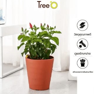 Tree‘O กระถางต้นไม้ทรงกลม รุ่น6PY012-RD ขนาด24x26ซม. (10นิ้ว) สีแดง