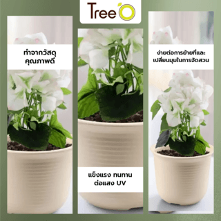 Tree O กระถางต้นไม้ทรงกลม รุ่น 6PY002-BE ขนาด19X13ซม. (8นิ้ว) สีน้ำตาลอ่อน