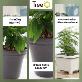 Tree  O กระถางต้นไม้ รุ่น 6PY018-GY ขนาด 20 x 20 x 16 ซม. (8นิ้ว) สีเทา