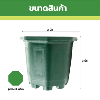 GREENHOUSE กระถาง แคคตัส 3 นิ้ว สีเขียว