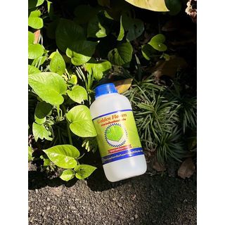 GOLDEN FLOWERS สารจับใบชนิดเข้มข้น  1 ลิตร