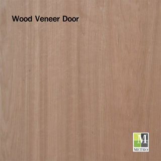 ประตูไม้อัดยาง-ไส้ไม้ ภายใน 90x200