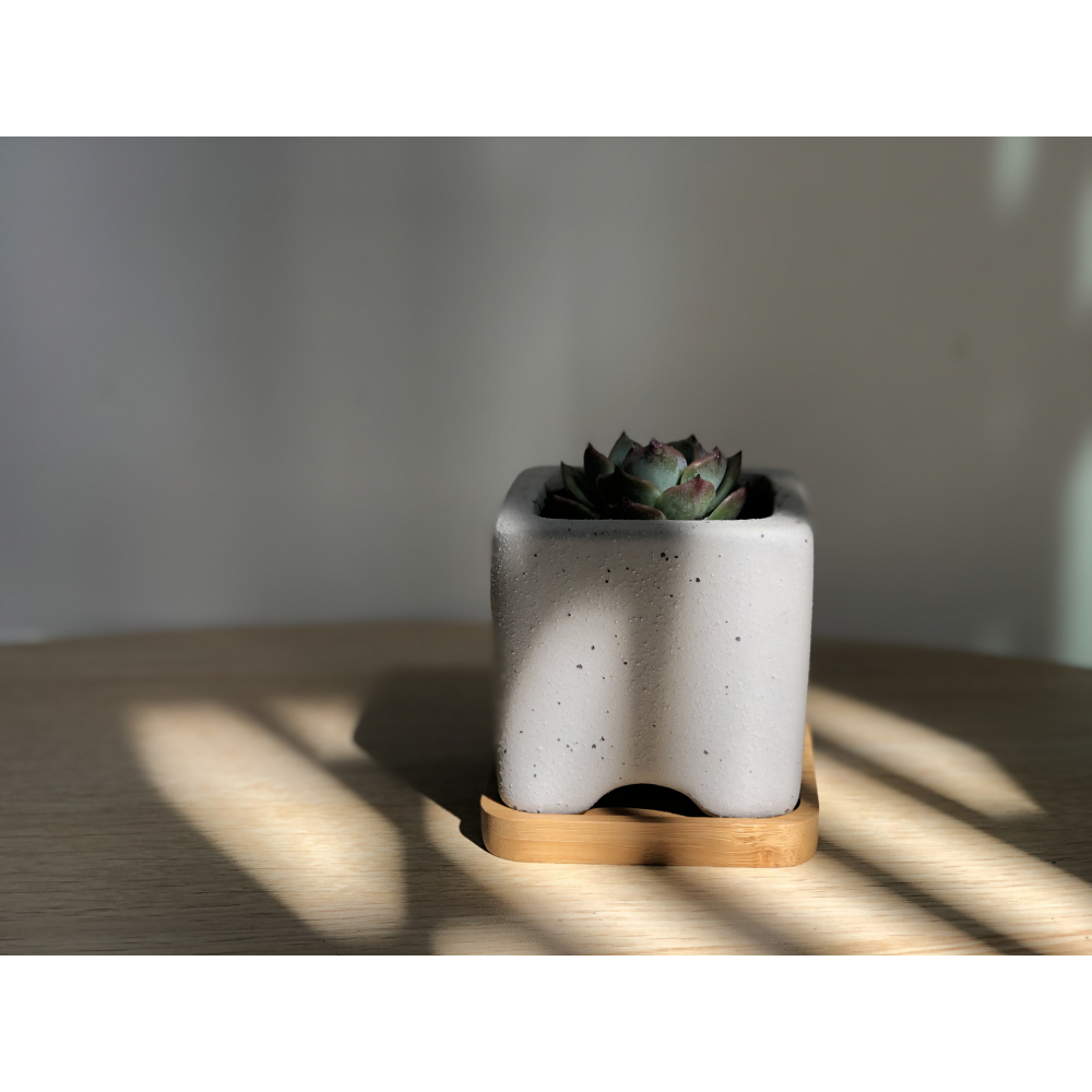 Tree’O กระถางเซรามิก รุ่น 4ZR-003 สีเทา