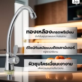 Iris ก๊อกอ่างล้างจานทองเหลือง แบบติดเคาน์เตอร์ ตััว C รุ่น IR-52102