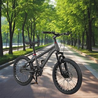 FORTEM จักรยานเด็กเสือภูเขา รุ่น Luna-02 ขนาด 20 นิ้ว  สีเทา