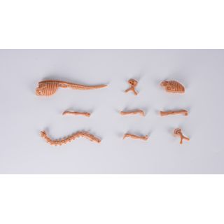 TOYS  กล่องสุ่มฟอสซิลไดโนเสาร์ขุดเหมือง