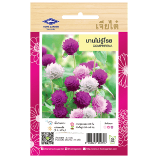 เจียไต๋ เมล็ดพันธุ์- บานไม่รู้โรย