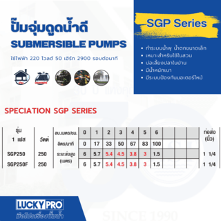 LUCKY PRO ปั๊มจุ่มสเตนเลสพร้อมลูกลอย 250W ท่อ 1 1/4 รุ่น LP-SGP250F