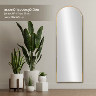 Nice กระจกมีกรอบอะลูมิเนียม รุ่น แอนนิก้า-โกลว ขนาด 50x160 ซม. สีทอง 